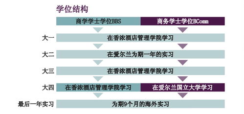 為何選擇愛爾蘭香儂酒店管理學(xué)院 開啟卓越酒店管理職業(yè)生涯的明智之選