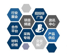 建設工程行業招投標綜合信息門戶與網絡技術咨詢服務發展探析