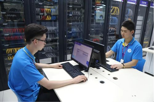 計算機專業還能報考嗎？從985軟件學院低就業率看行業現狀與理性選擇